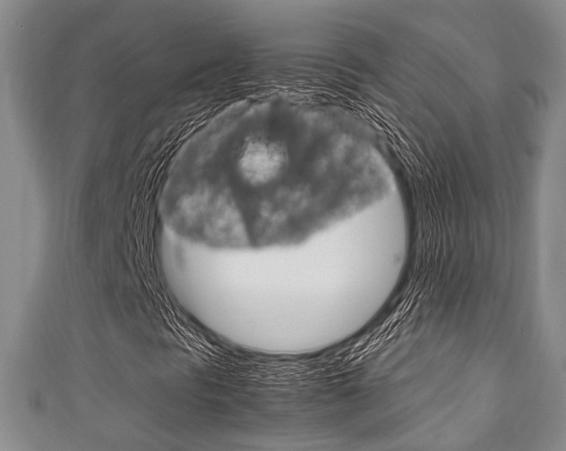 X0000111921297200907271001
