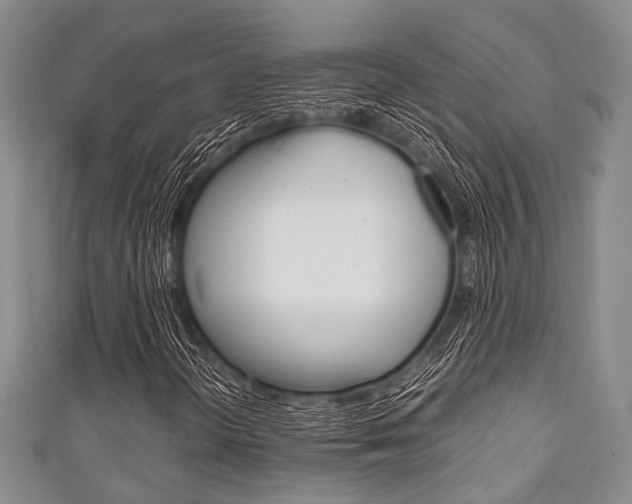 X0000111921298200907271001