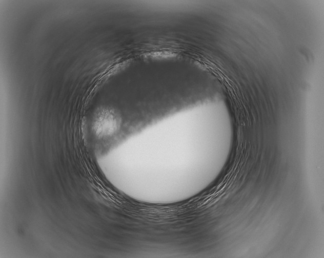 X0000111921299200907271001