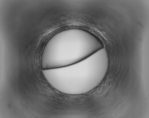 X0000111921303200907271001