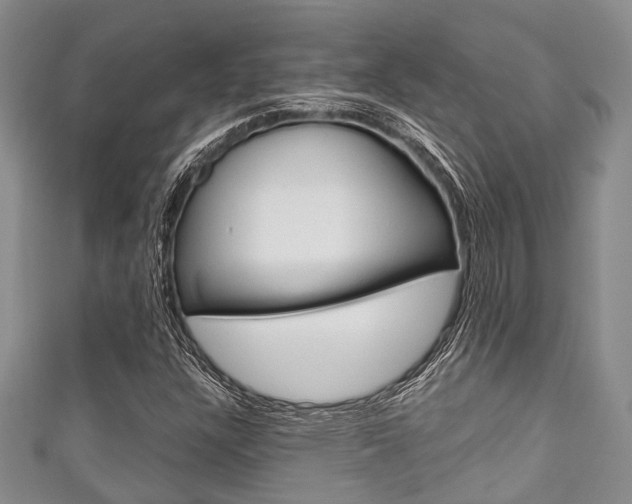 X0000111921304200907271001