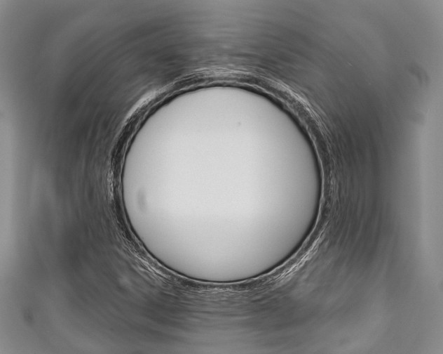 X0000111921306200907271001