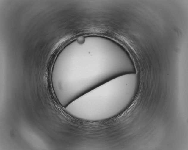 X0000111921307200907271001