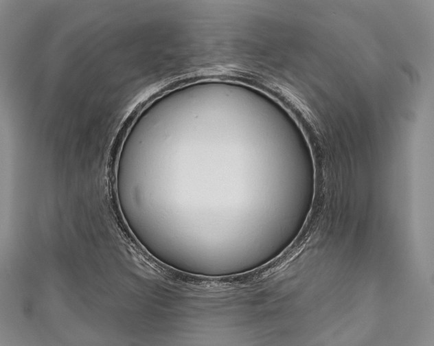 X0000111921308200907271001