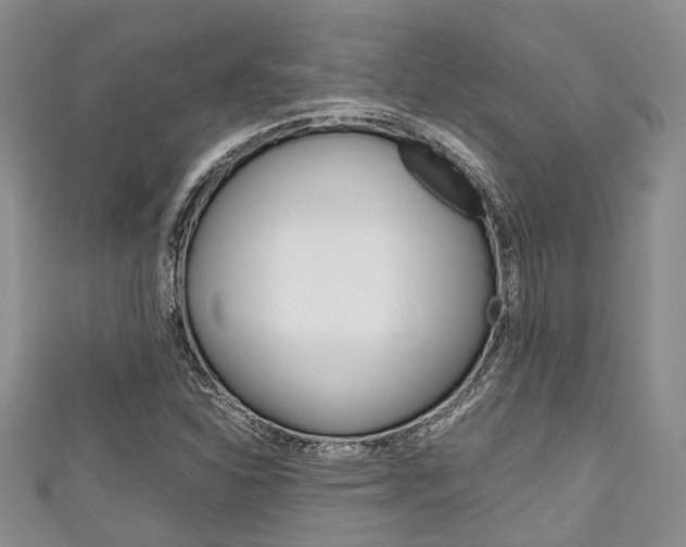 X0000111921310200907271001