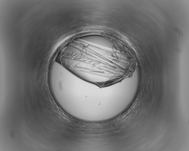 X0000111921312200907271001