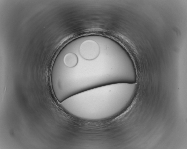 X0000111921313200907271001