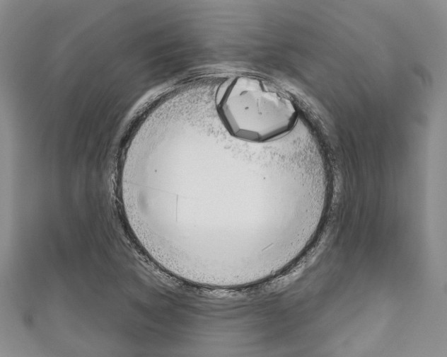 X0000111921314200907271001