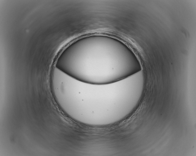 X0000111921316200907271001