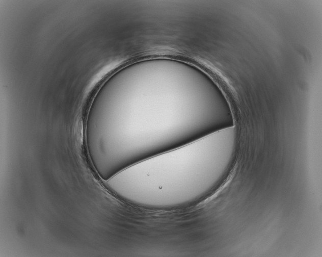 X0000111921317200907271001