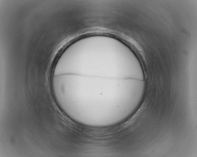 X0000111921318200907271001