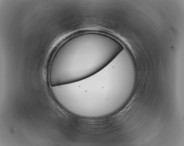 X0000111921319200907271001
