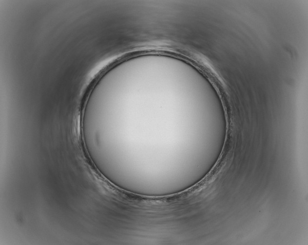 X0000111921320200907271001