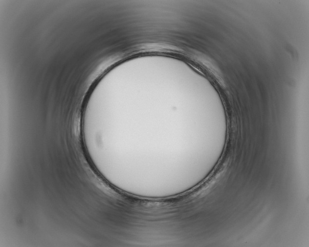 X0000111921322200907271001