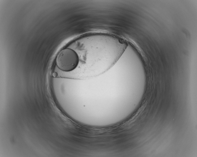 X0000111921323200907271001