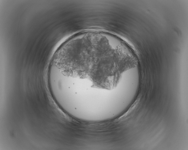 X0000111921325200907271001