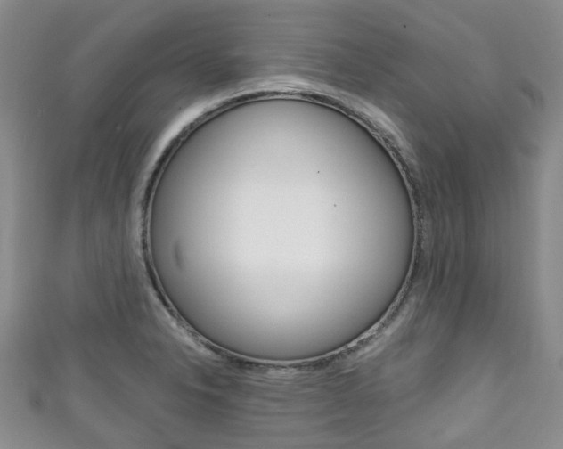 X0000111921326200907271001