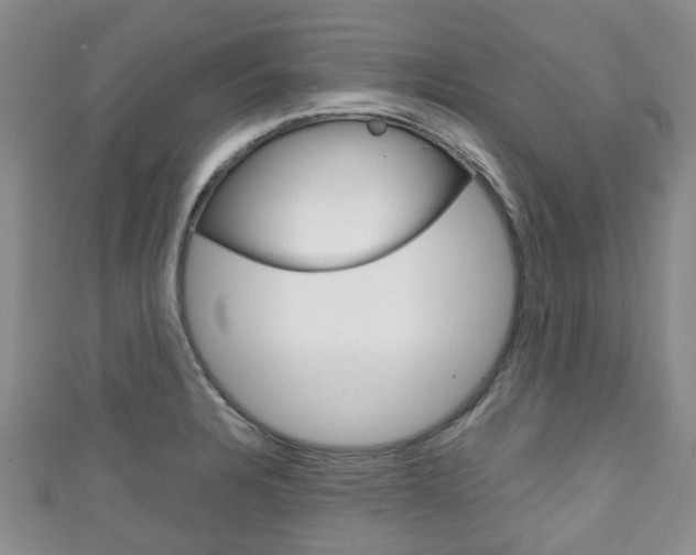 X0000111921328200907271001
