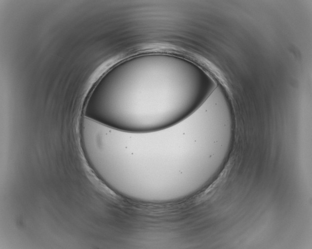 X0000111921330200907271001