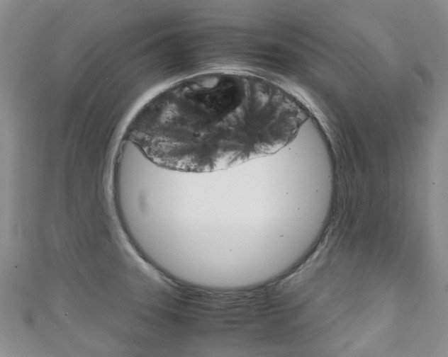 X0000111921331200907271001