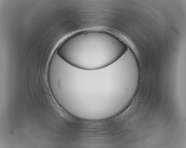 X0000111921332200907271001