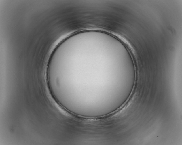 X0000111921333200907271001