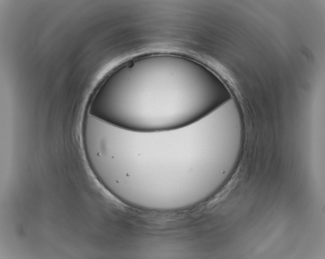 X0000111921334200907271001
