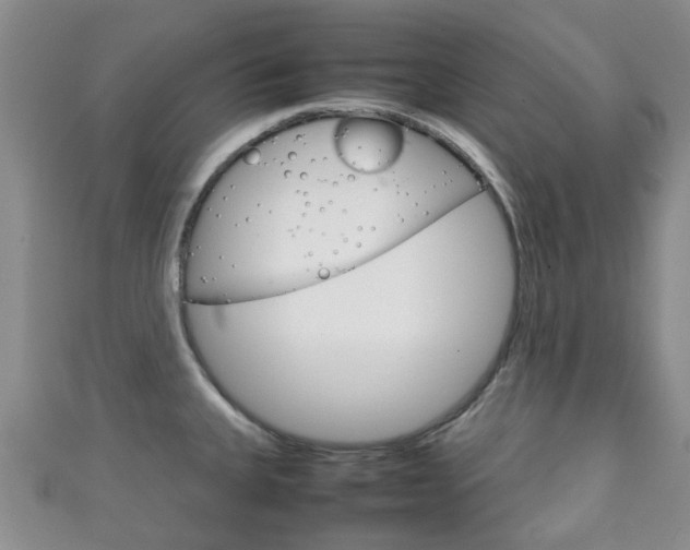X0000111921335200907271001