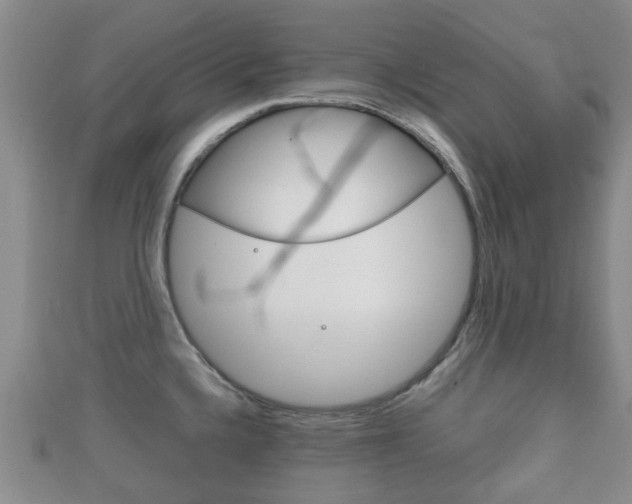 X0000111921336200907271001