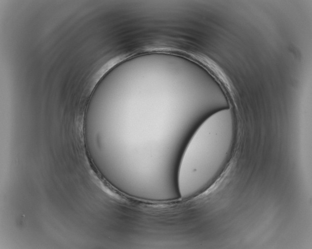 X0000111921337200907271001