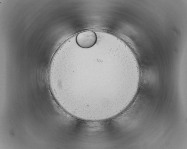 X0000111921338200907271001