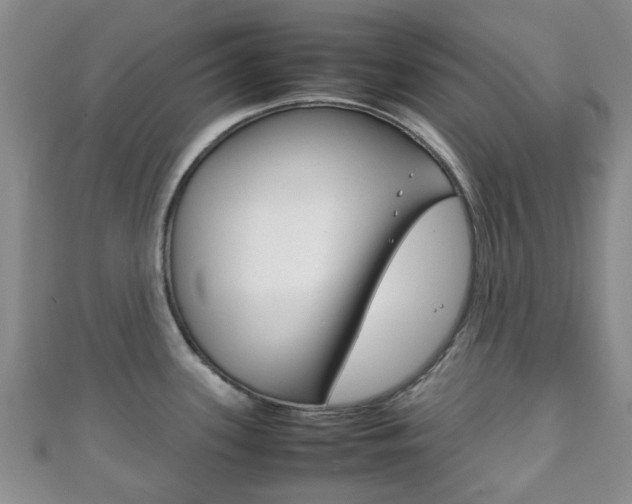 X0000111921339200907271001