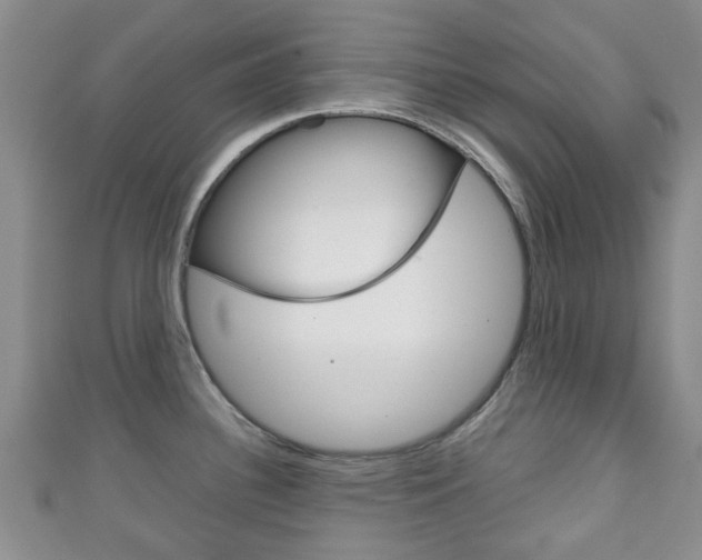 X0000111921340200907271001