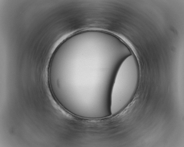 X0000111921341200907271002