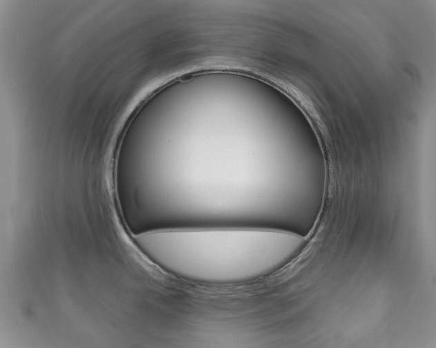 X0000111921342200907271002