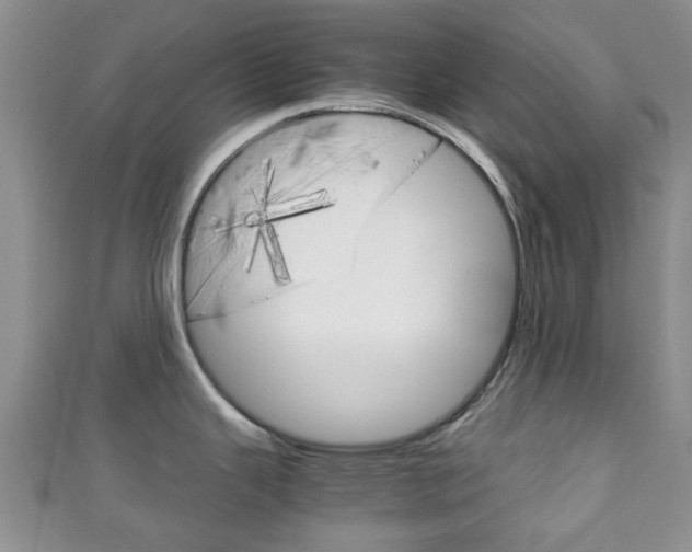 X0000111921343200907271002