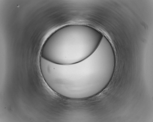 X0000111921344200907271002