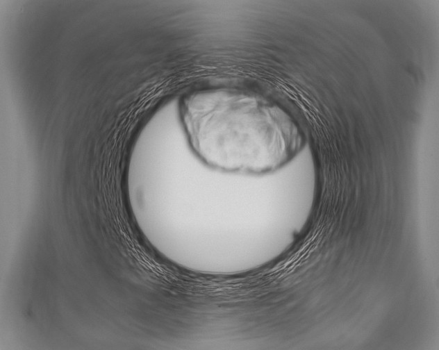 X0000111921345200907271001