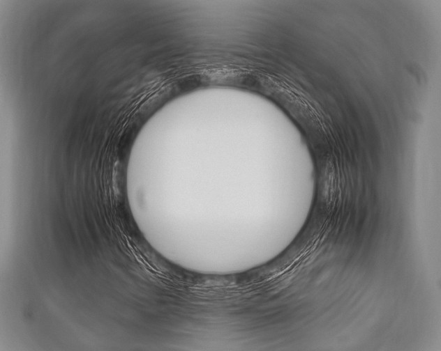 X0000111921346200907271001