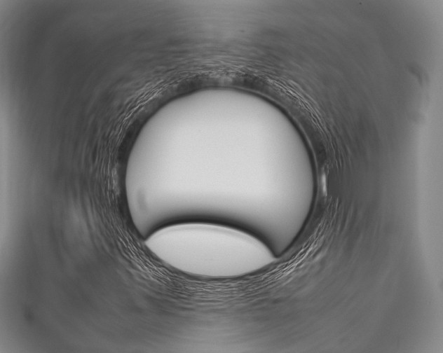 X0000111921347200907271001