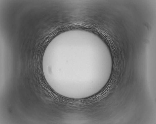 X0000111921349200907271001