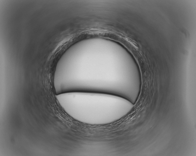 X0000111921351200907271001