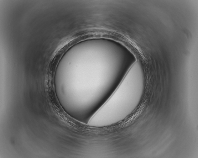 X0000111921352200907271001