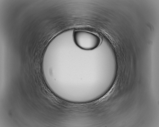 X0000111921353200907271001