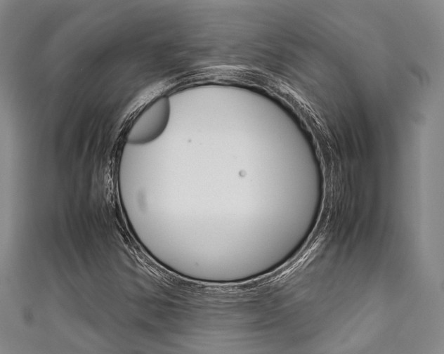 X0000111921354200907271001