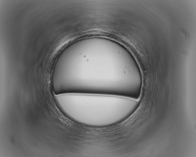 X0000111921355200907271001