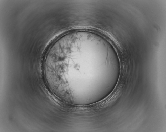 X0000111921356200907271001