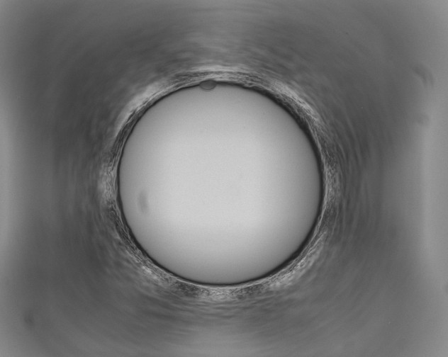 X0000111921357200907271001