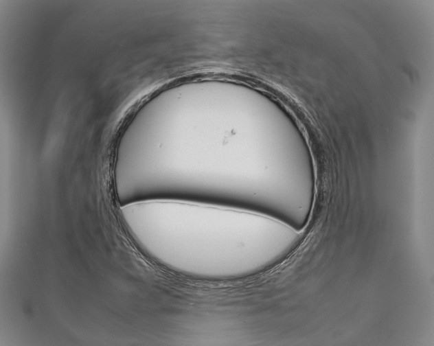 X0000111921359200907271001