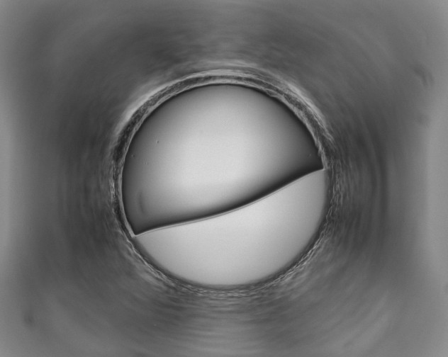 X0000111921360200907271001